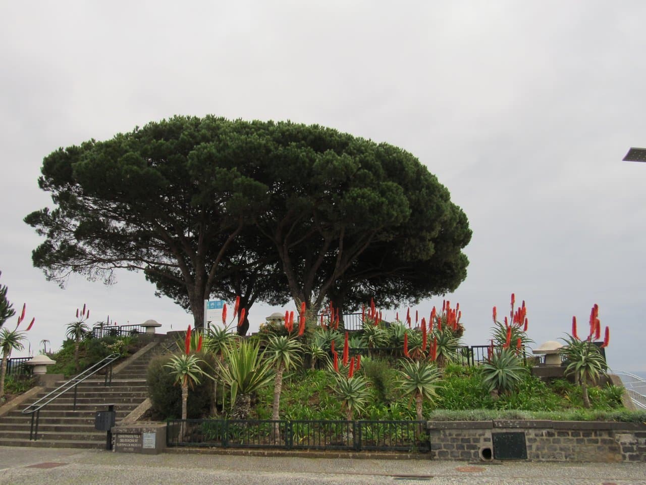 Place Miradouro Pico dos Barcelos - Madeira