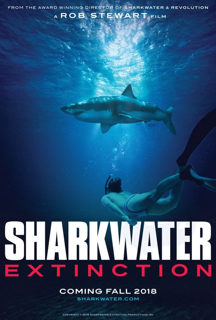 Fashion Sharkwater Extinction Official Movie Site | Help Save Sharks