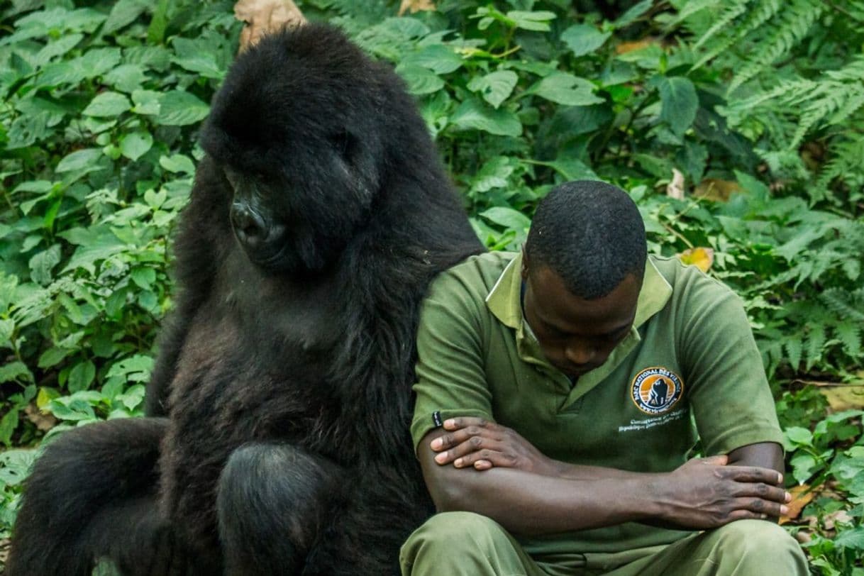 Fashion Virunga