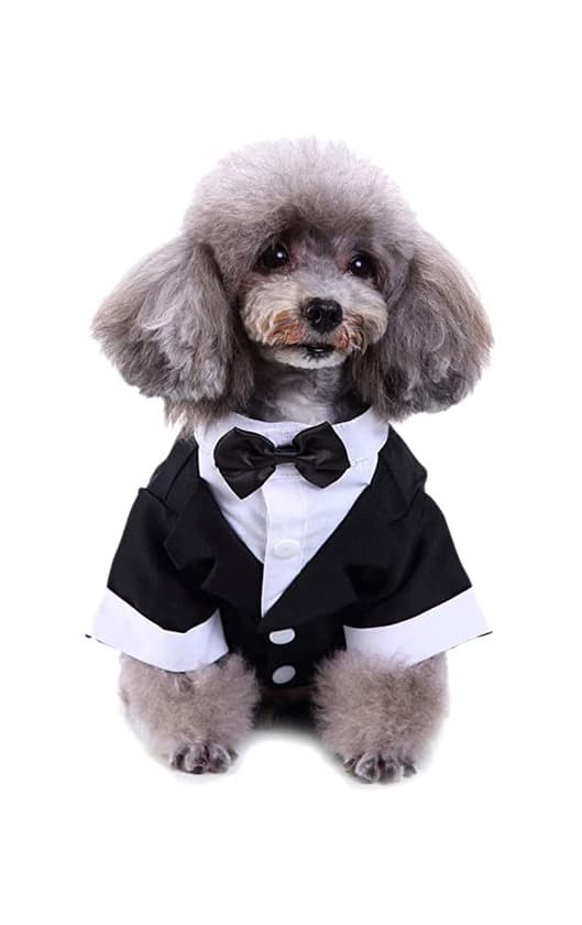 Product Keysui Mascotas fiesta traje Formal traje ropa abrigo para perros ropa