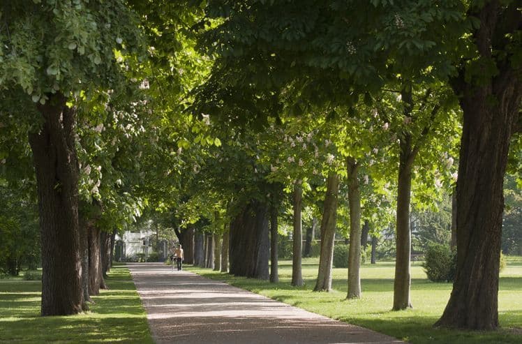 Place Kannenfeldpark