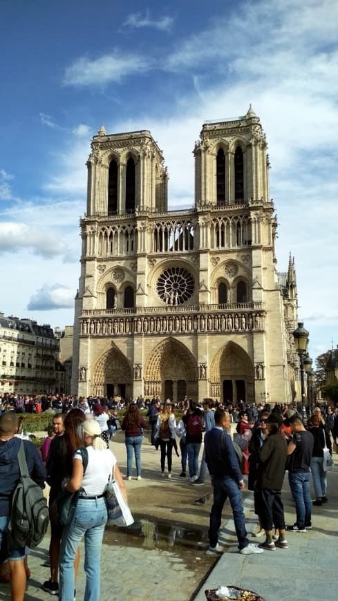 Place Catedral de Notre Dame