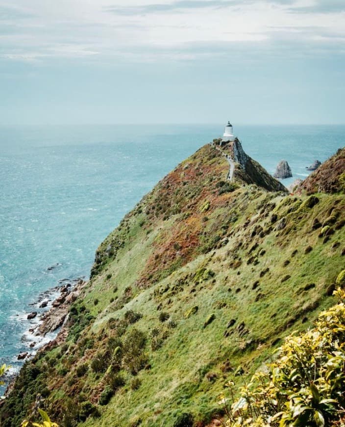 Place Nugget Point Lighthouse