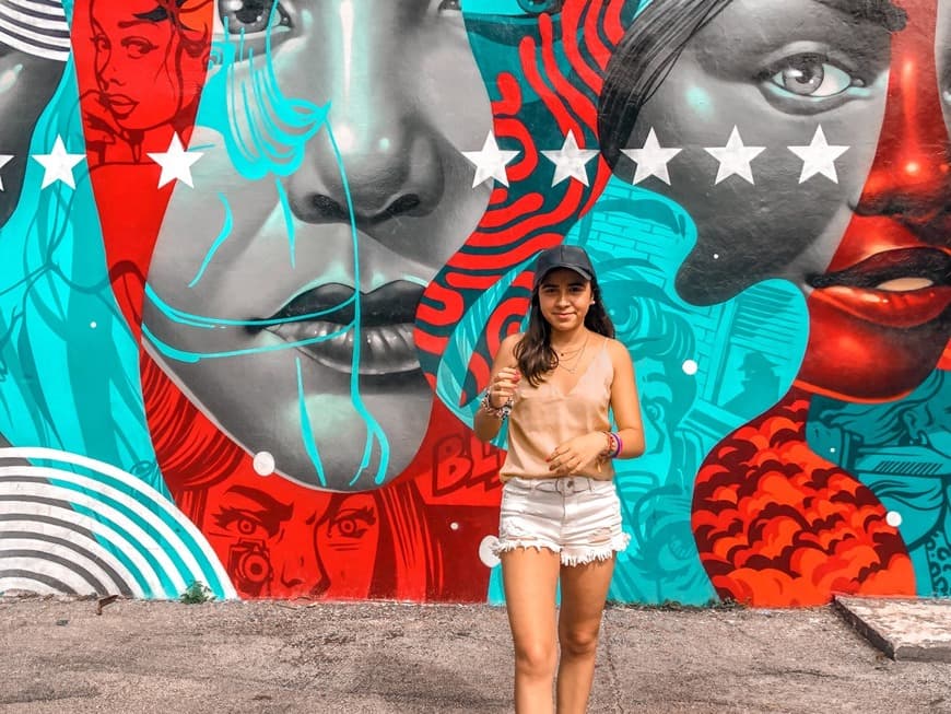 Place Wynwood Walls