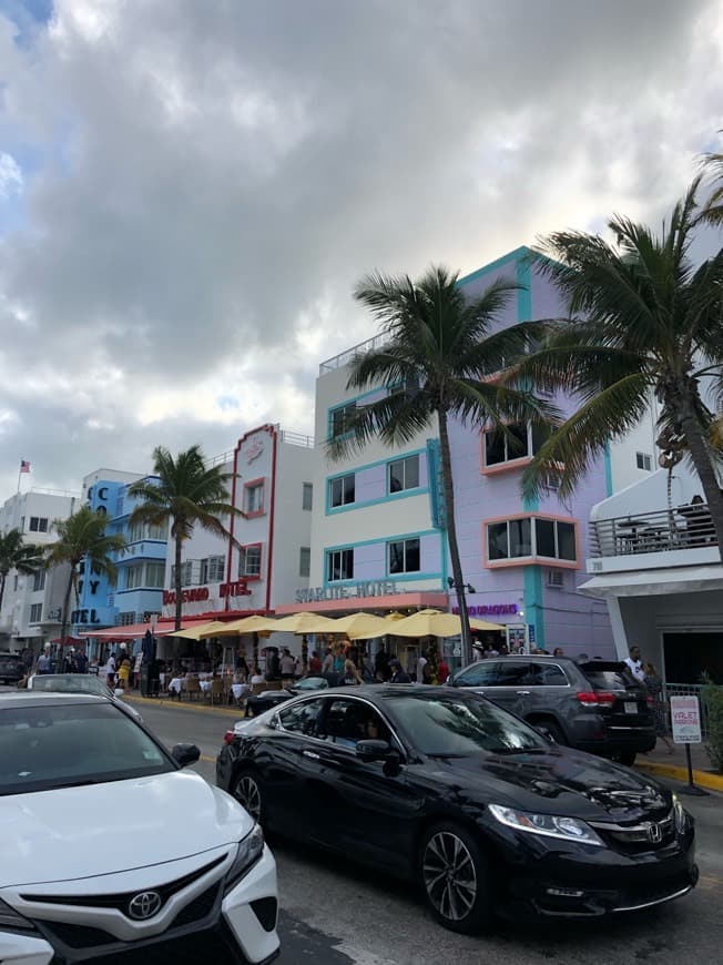 Place Ocean Drive