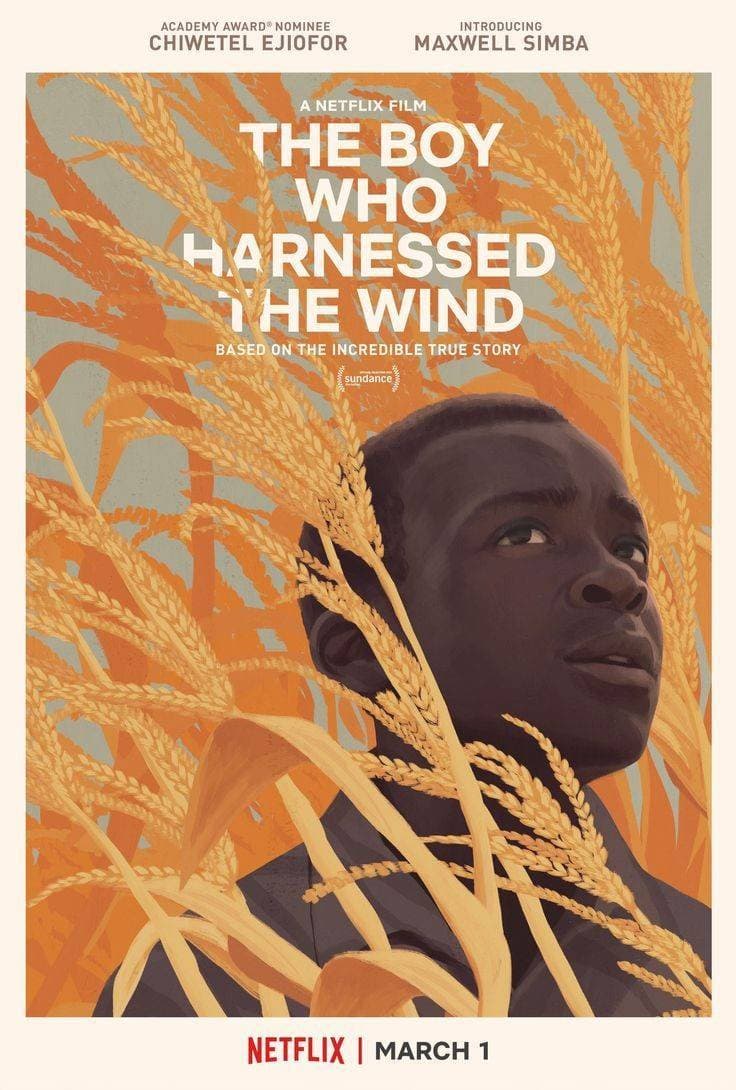 Movie The Boy Who Harnessed the Wind