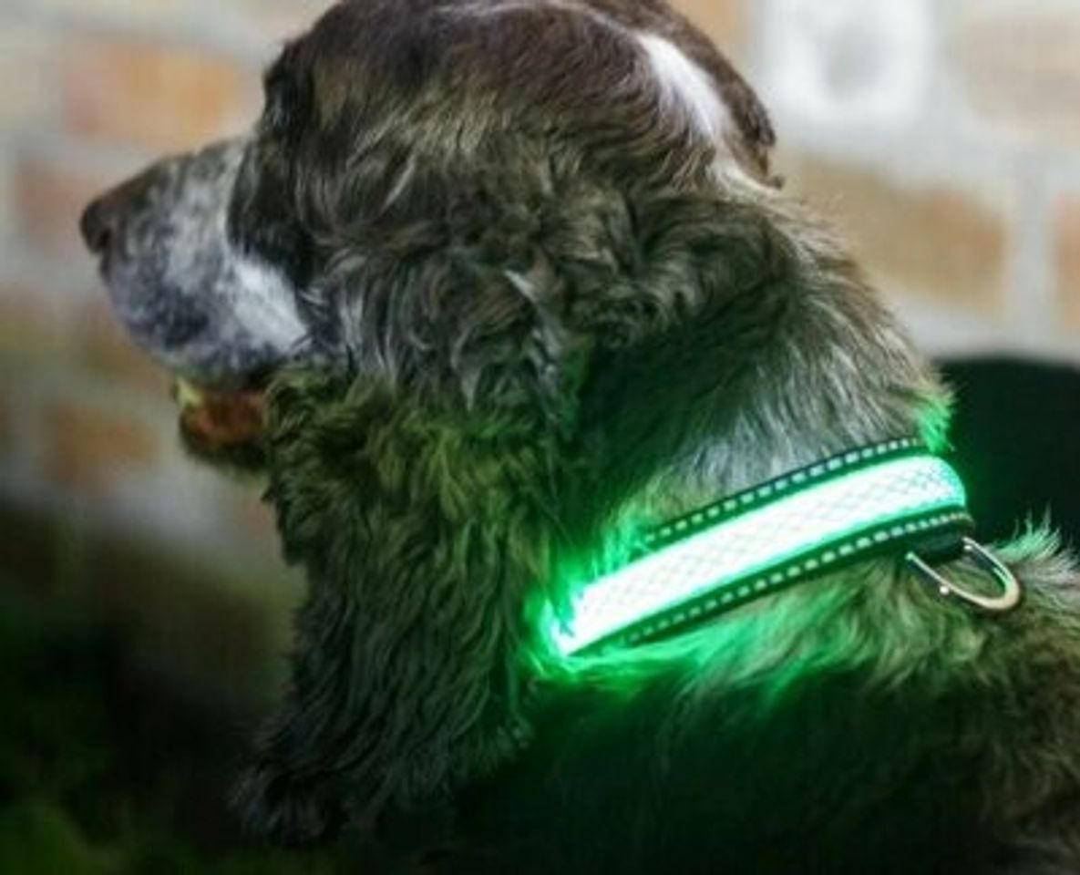 Producto Collar led para mascotas con luz verde