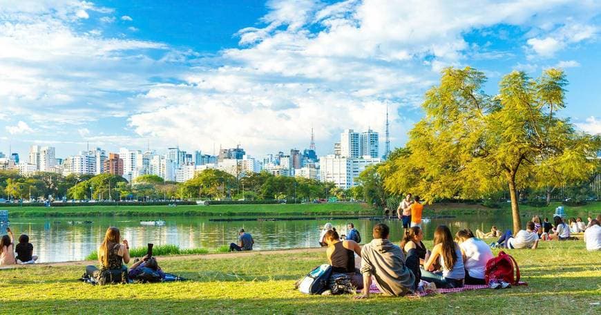 Lugar Parque Ibirapuera