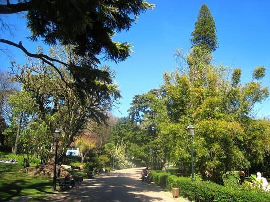 Lugar Jardim da Estrela