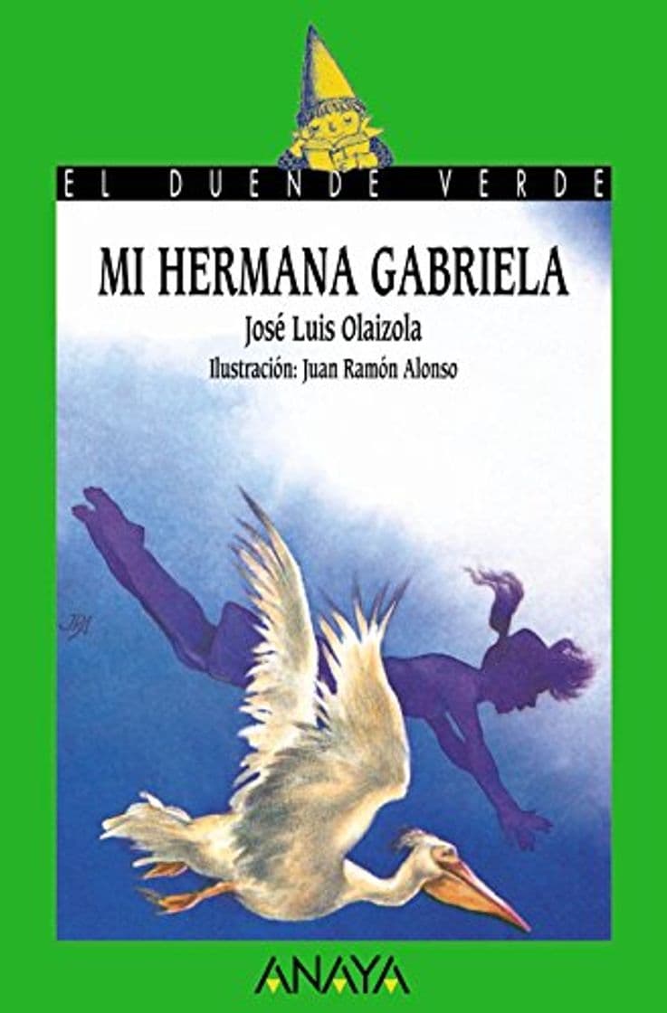 Libro Mi hermana Gabriela