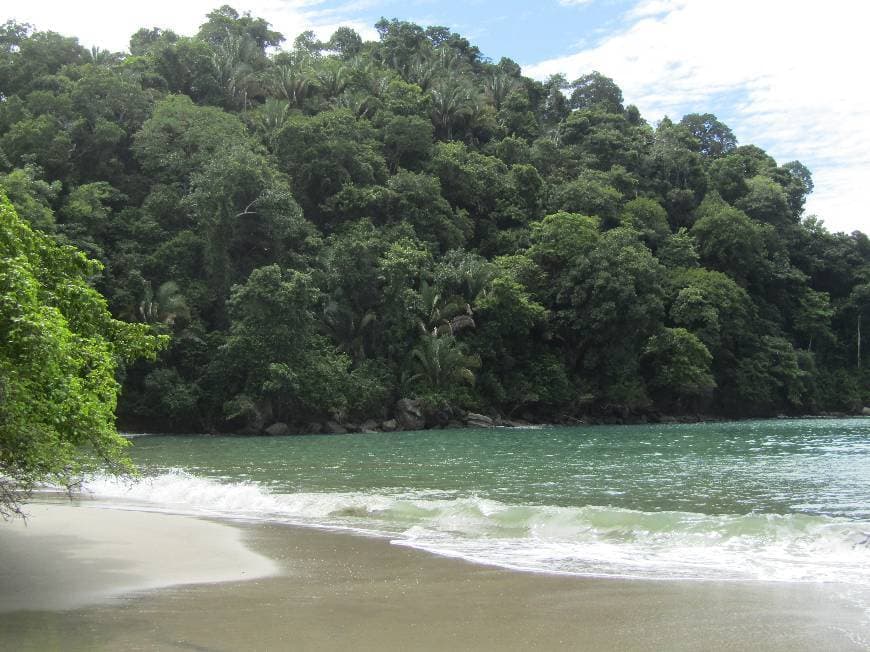 Lugar Manuel Antonio National Park