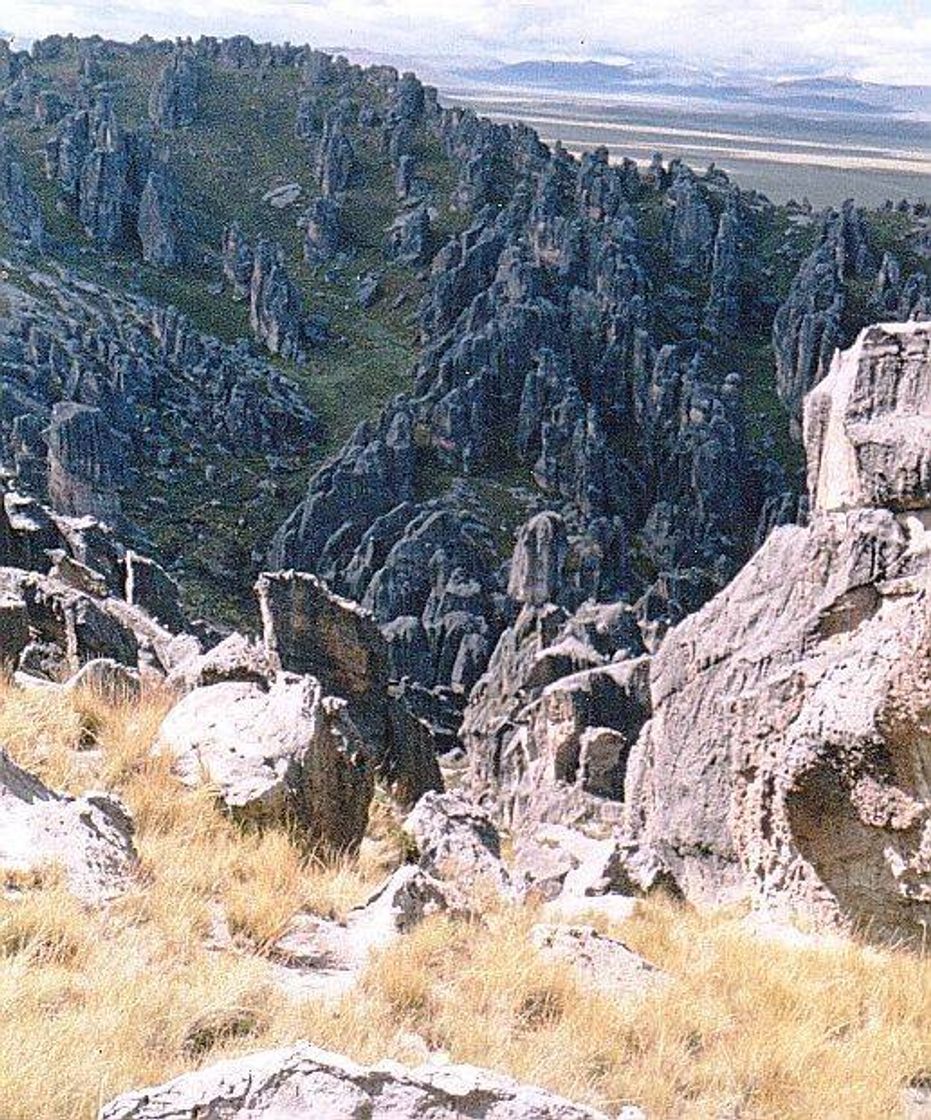 Lugar Bosque de piedras de Huayllay