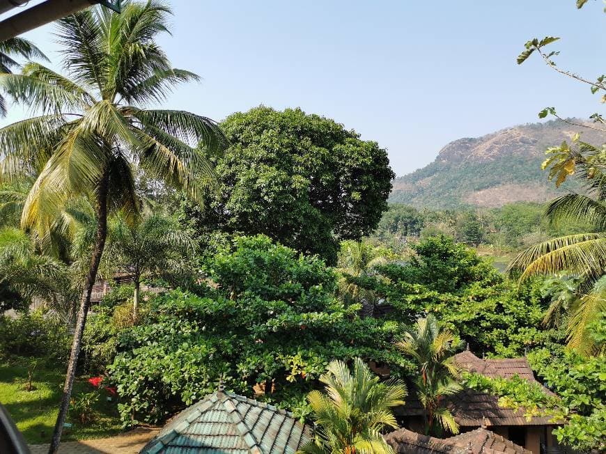 Place Madukkakuzhy Ayurveda Lake & Mountains