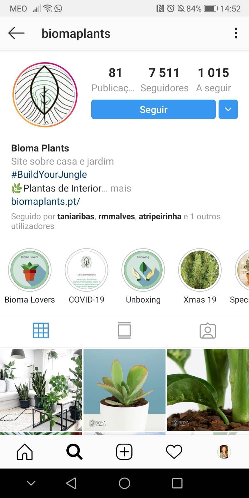 Fashion Biomaplants