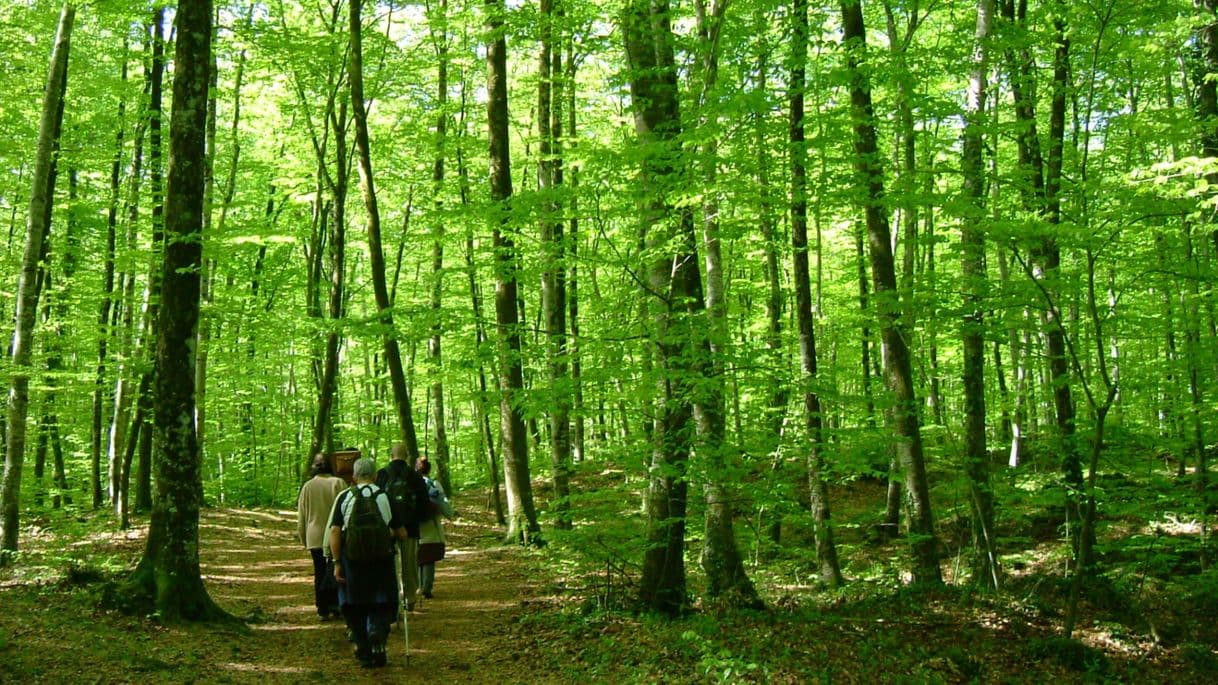 Place Fageda d'en Jordà