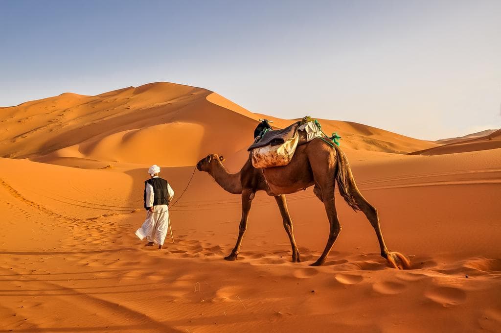 Lugar Sahara Desert