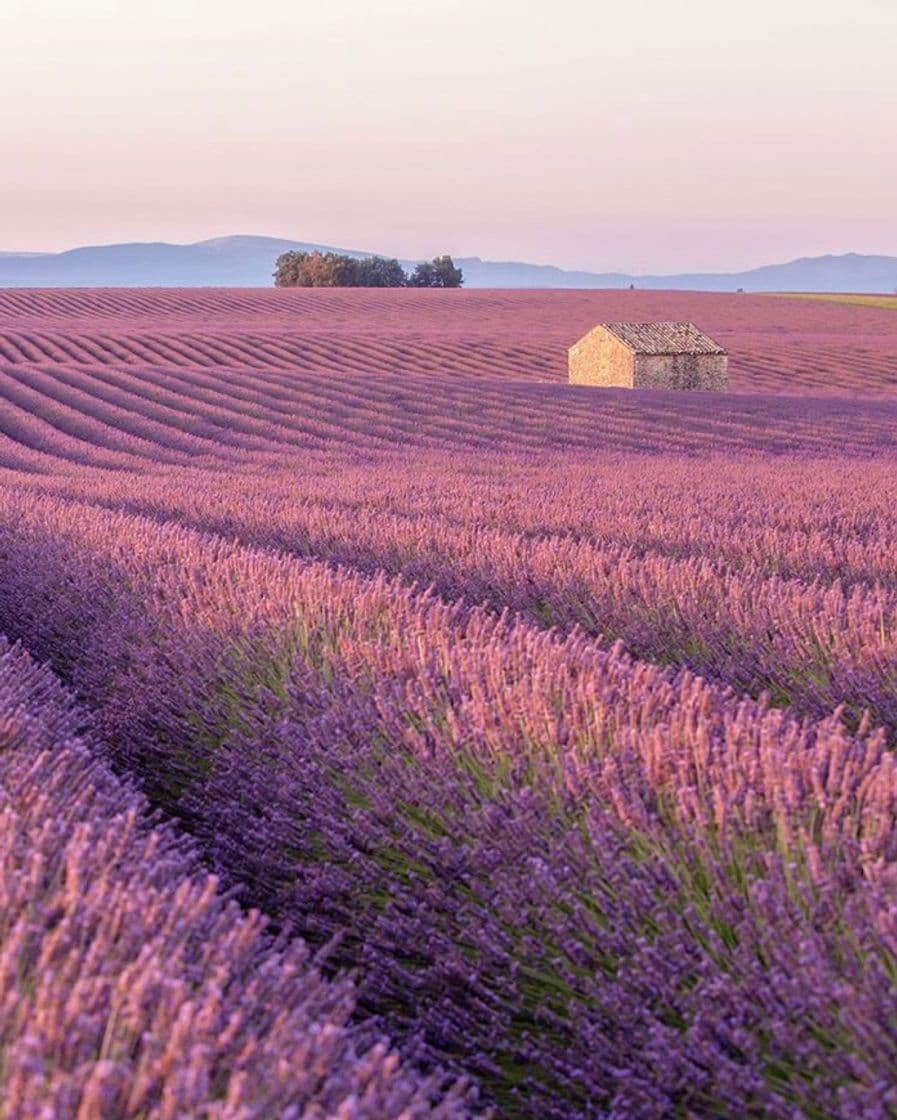 Lugar Provence-Alpes-Côte d'Azur