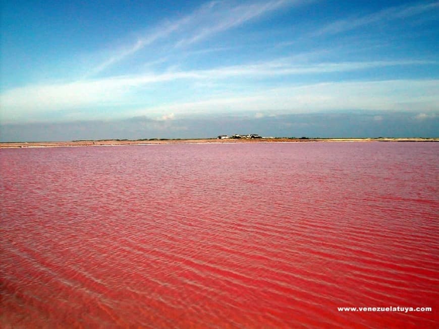 Lugar Salinas de Cumaragua