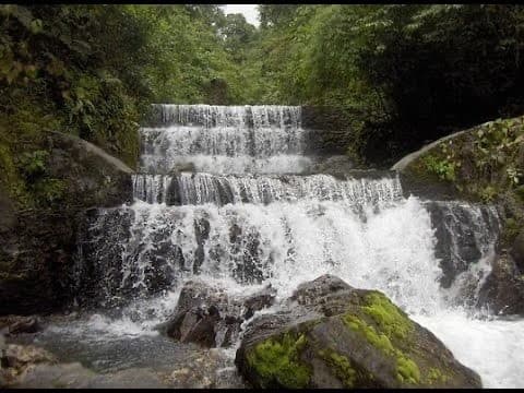 Lugar Parque Nacional Yacambú