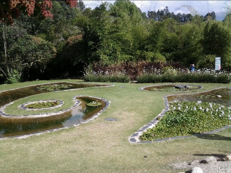 Lugar Fundacion Jardin Botanico de Merida