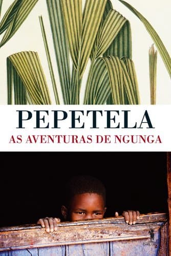 Book As Aventuras De Ngunga