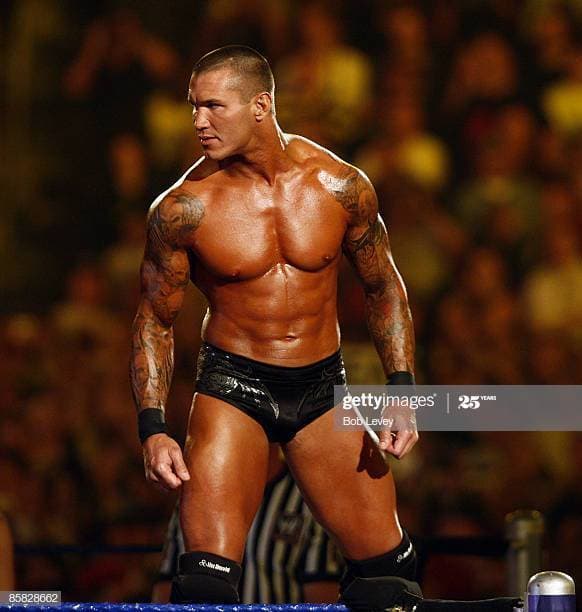 Fashion Randy Orton