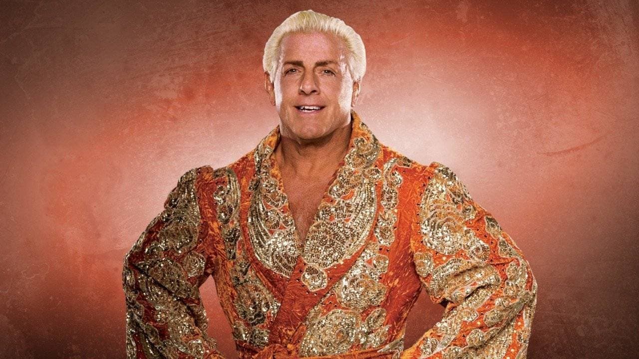 Fashion Ric Flair