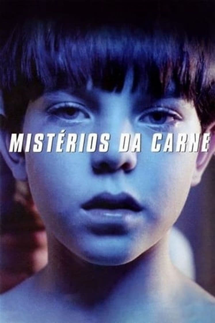 Movie Mysterious Skin