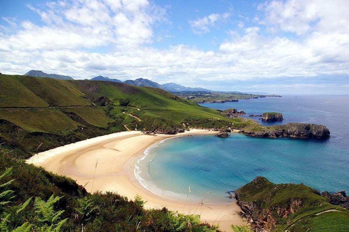 Lugar Playa de Torimbia