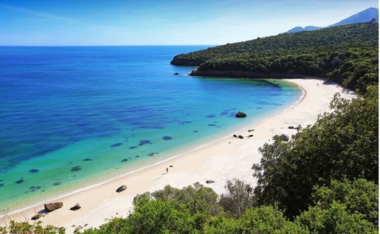 Lugar Praia dos Galapinhos