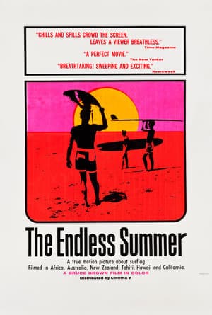 Película The Endless Summer