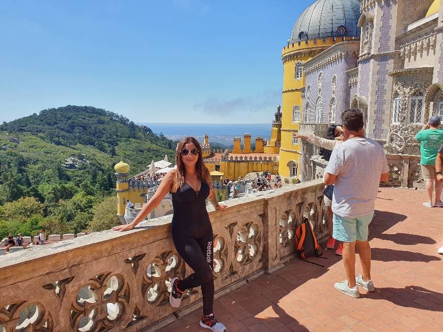 Lugar Palacio da Pena