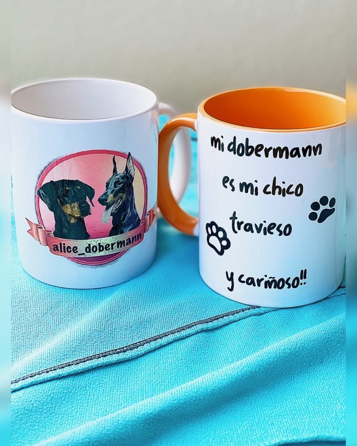 Fashion TAZA ALICE