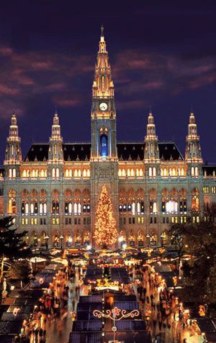 Place Viena