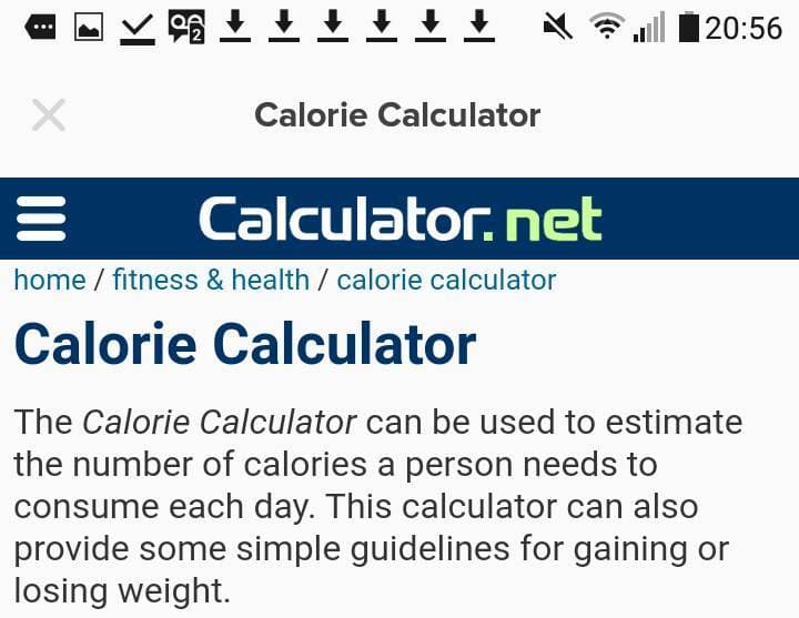 Fashion Calorie Calculator