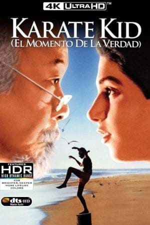 Película The Karate Kid