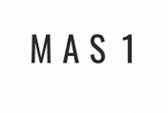 Fashion MAS1 Shop: Mas 1 - Tienda online de bolsos