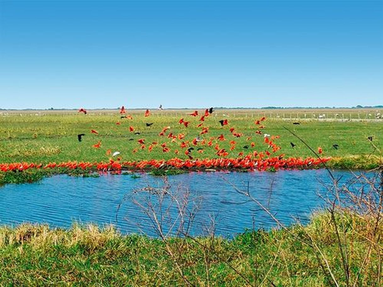 Lugar Los Llanos