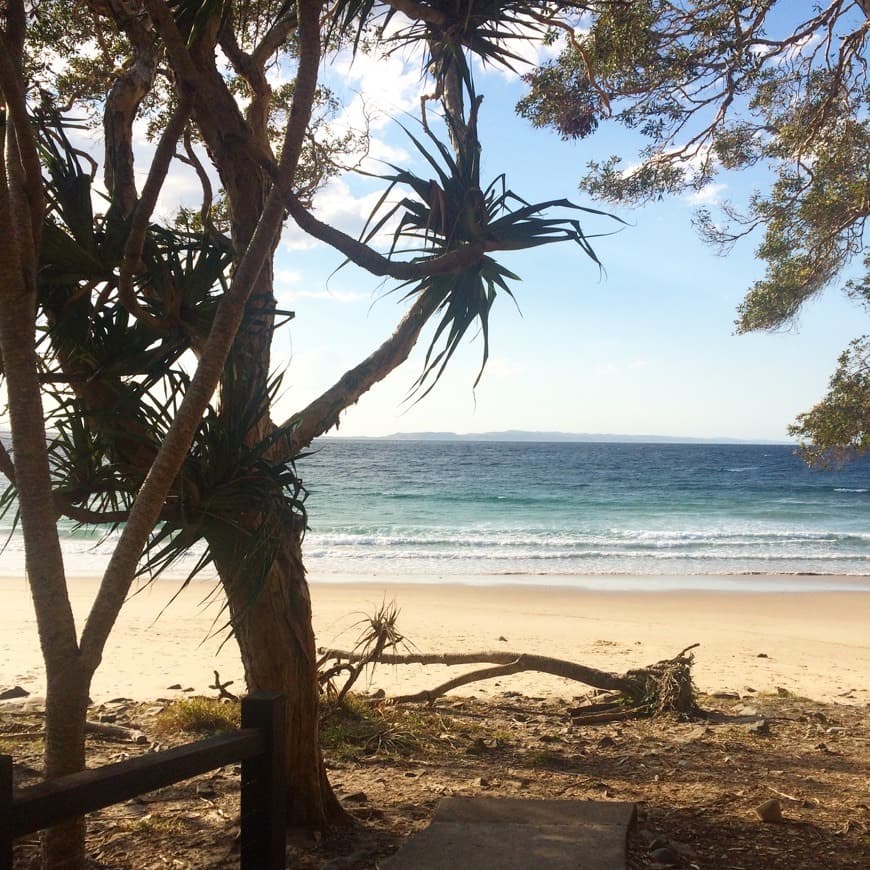 Lugar Parque nacional Noosa