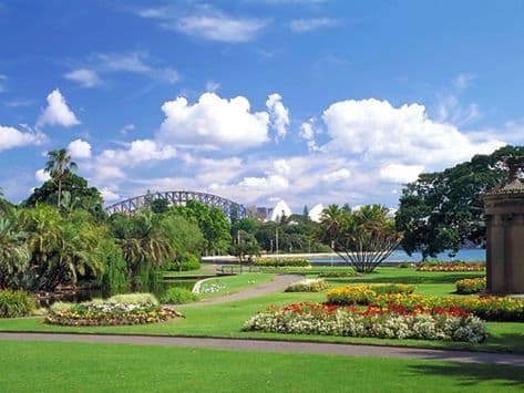 Place Real Jardín Botánico de Sídney