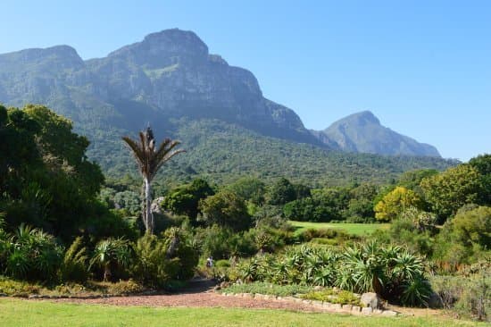 Place Kirstenbosch National Botanical Garden