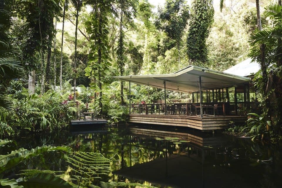 Lugar Daintree Ecolodge