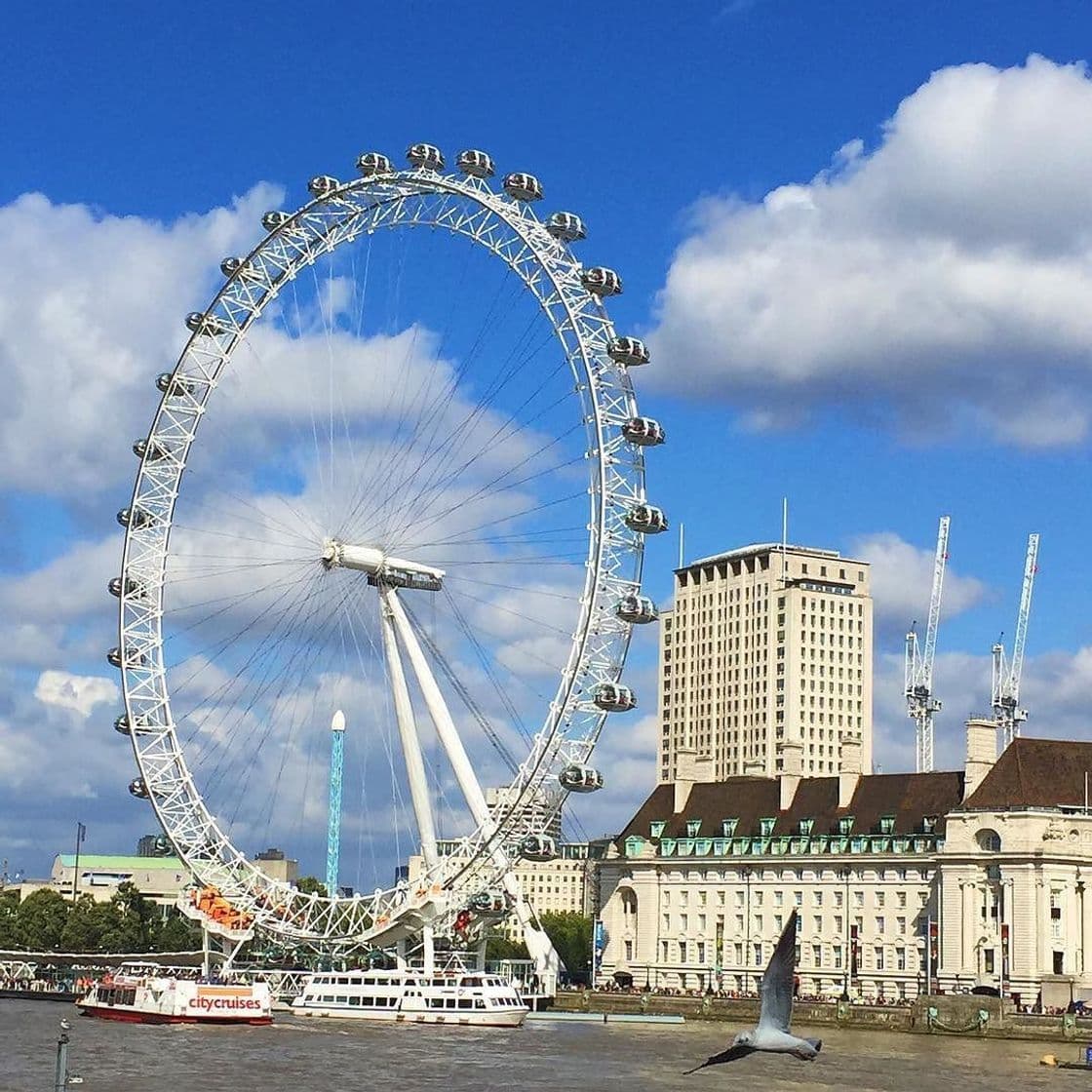 Place London Eye