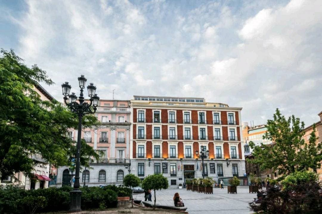 Place Hotel Intur Palacio San Martín