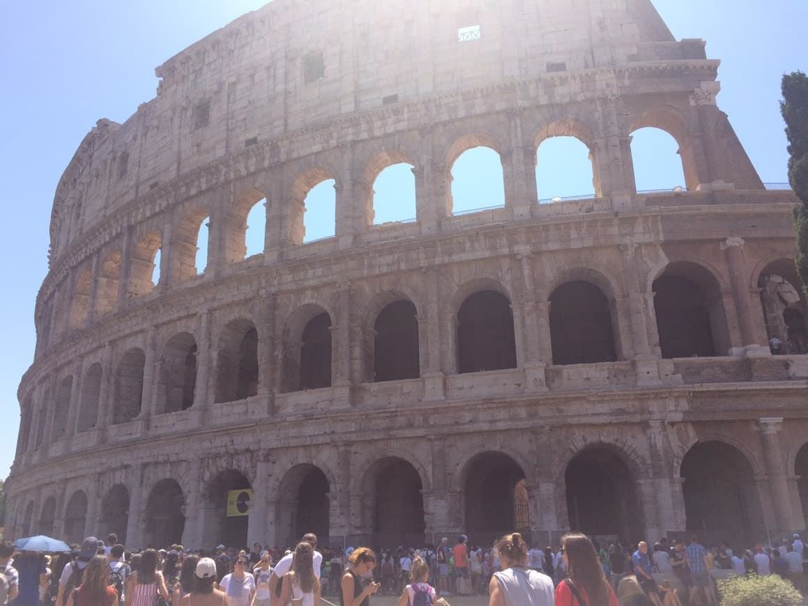 Lugar Coliseo de Roma