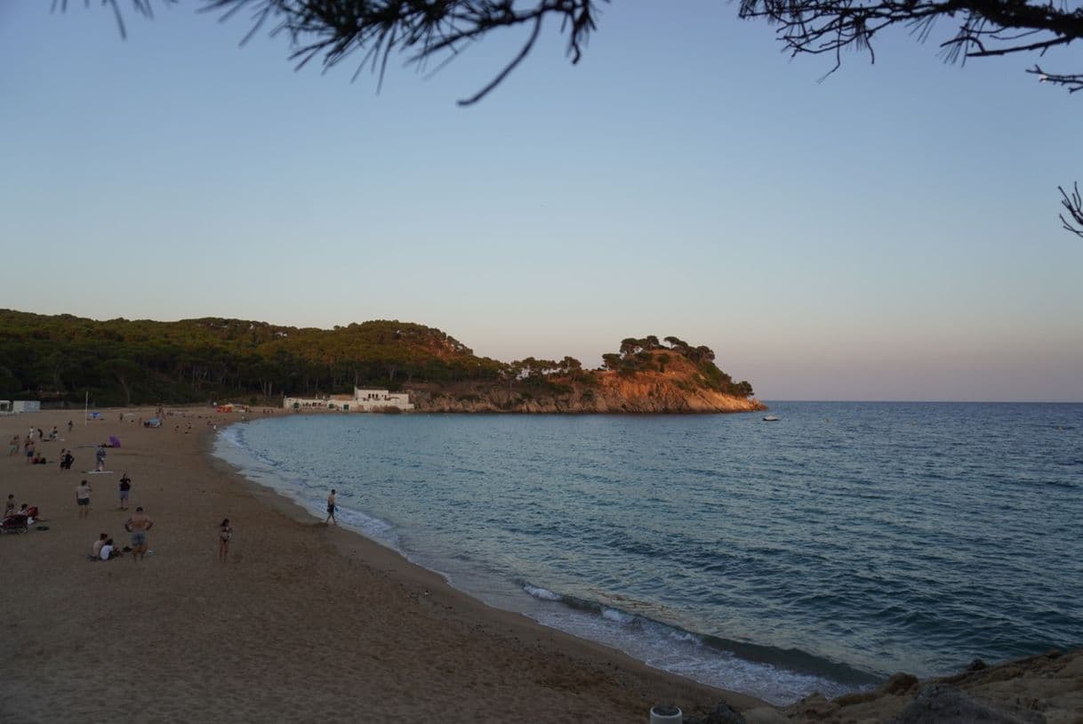 Place Cala S'Alguer