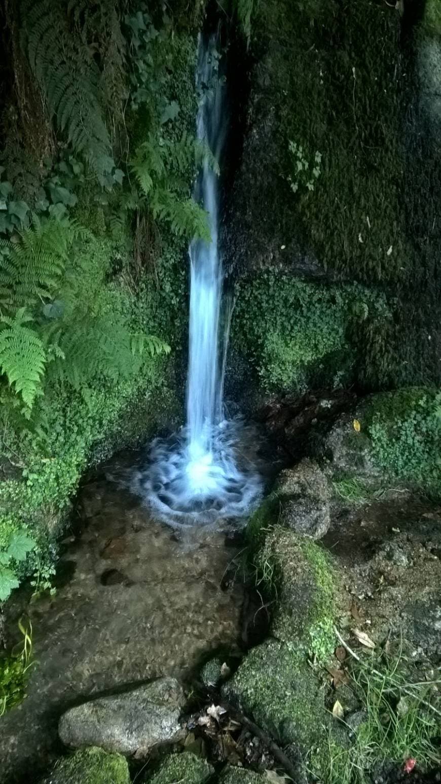 Lugar Gerês