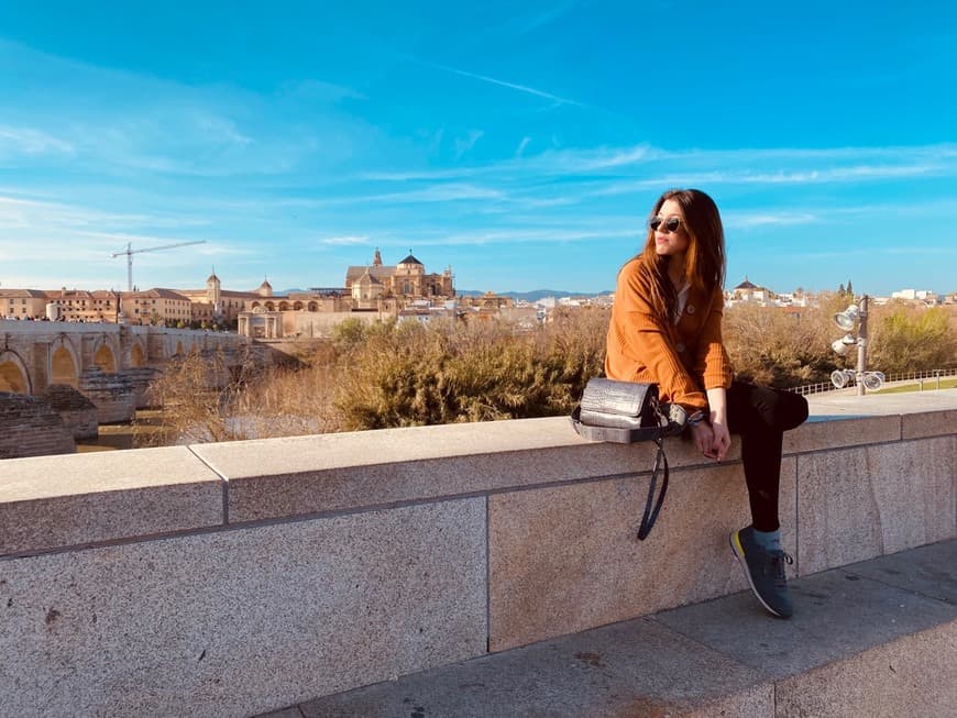 Place Puente Romano de Córdoba