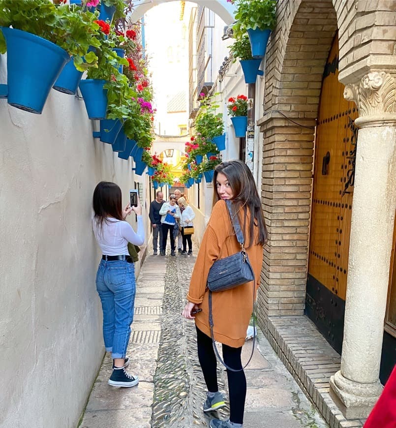 Place Calleja de las Flores