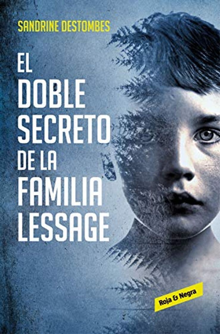 Book El doble secreto de la familia Lessage